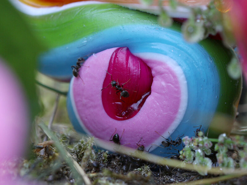 Sculptures for Ants (2019) by Sema Bekirovic and Jan-Pieter Karper — installation and workshop creating miniature sculptures for ants during the Into The Great Wide Open festival.